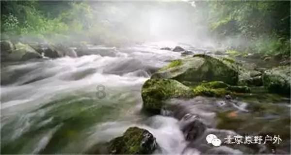 探讨天地间-长相和身高哪个重要问答